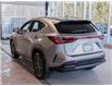 2025 Lexus NX 350h Base (Stk: 6650) in Kingston - Image 4 of 16