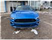 2019 Ford Mustang EcoBoost Premium in Charlottetown - Image 4 of 18