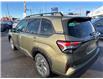 2025 Subaru Forester Limited (Stk: S25124) in Newmarket - Image 2 of 6