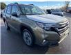 2025 Subaru Forester Limited (Stk: S25124) in Newmarket - Image 4 of 6