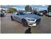 2024 Ford Mustang EcoBoost (Stk: 4G067) in Oakville - Image 2 of 20