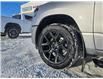 2025 RAM 1500 Sport (Stk: 25R18685) in Vermilion - Image 9 of 27