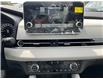 2025 Mitsubishi Outlander PHEV SEL (Stk: R1038) in Calgary - Image 18 of 21