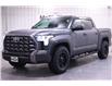 2025 Toyota Tundra Platinum (Stk: X248904) in Winnipeg - Image 2 of 19