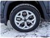 2025 Jeep Compass Sport (Stk: 25050) in Embrun - Image 14 of 19