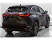 2025 Lexus NX 350h Base (Stk: 046585) in Brampton - Image 9 of 11