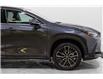 2025 Lexus NX 350h Base (Stk: 046585) in Brampton - Image 6 of 11