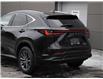 2025 Lexus NX 350h Base (Stk: NX6571) in Windsor - Image 5 of 25
