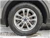 2022 Ford Escape SE (Stk: B12487) in North Cranbrook - Image 8 of 15