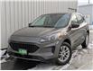 2022 Ford Escape SE (Stk: B12487) in North Cranbrook - Image 1 of 15