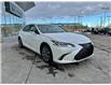 2025 Lexus ES 250 Base (Stk: L25388) in Calgary - Image 4 of 23