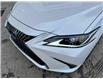 2025 Lexus ES 250 Base (Stk: L25388) in Calgary - Image 6 of 23