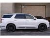2025 Hyundai Palisade  (Stk: S25283) in Ottawa - Image 4 of 25