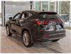 2025 Lexus NX 350h Base (Stk: 6659) in Kingston - Image 5 of 18