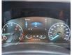 2024 Ford Maverick XLT (Stk: FT243966) in Dawson Creek - Image 6 of 13