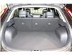 2025 Kia Niro EV Wave (Stk: 25800) in Edmonton - Image 23 of 27