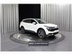 2025 Kia Sportage EX (Stk: 25783) in Edmonton - Image 1 of 24