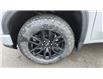 2025 GMC Sierra 1500 Pro (Stk: 183268) in New Glasgow - Image 9 of 15