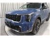 2024 Kia Sorento 2.5T X-Pro w/Black Interior (Stk: 25738) in Edmonton - Image 7 of 30