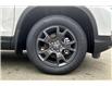 2025 Honda Passport Sport (Stk: 25P1189) in Campbell River - Image 12 of 14