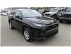 2023 Toyota RAV4 LE (Stk: 1299) in Kamloops - Image 1 of 26