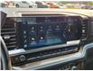 2023 Chevrolet Silverado 1500 LT (Stk: 30715A) in The Pas - Image 18 of 20