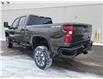 2023 Chevrolet Silverado 2500HD Custom (Stk: 08099A) in New Glasgow - Image 4 of 12