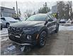 2024 Hyundai Santa Cruz Preferred (Stk: 01147P) in New Hamburg - Image 1 of 18