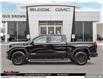 2025 GMC Sierra 1500 Elevation (Stk: G228609) in PORT PERRY - Image 3 of 25