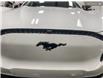 2024 Ford Mustang Mach-E Select (Stk: 0E4552) in Kamloops - Image 9 of 26