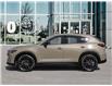 2025 Mazda CX-5 Suna (Stk: 14213) in Ottawa - Image 3 of 23
