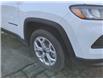 2025 Jeep Compass Sport (Stk: 250089) in Windsor - Image 10 of 23