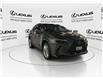 2025 Lexus NX 350h  (Stk: 14108608) in Markham - Image 4 of 15