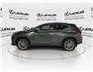 2025 Lexus NX 350h  (Stk: 14108608) in Markham - Image 6 of 15