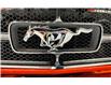 1965 Ford Mustang  (Stk: 150350) in Watford - Image 3 of 50