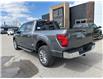 2024 Ford F-150 XLT (Stk: VFF22649) in Chatham - Image 2 of 17