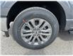 2024 Ford F-150 XLT (Stk: VFF22649) in Chatham - Image 5 of 17