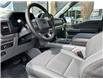 2024 Ford F-150 XLT (Stk: VFF22649) in Chatham - Image 7 of 17