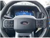 2025 Ford F-150 XLT (Stk: VF1F00308) in Chatham - Image 13 of 20