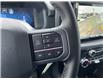 2025 Ford F-150 XLT (Stk: VF1F00308) in Chatham - Image 18 of 20