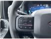 2025 Ford F-150 XLT (Stk: VF1F00308) in Chatham - Image 19 of 20