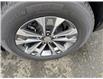 2025 Chevrolet Equinox LT (Stk: M1064-25) in Courtenay - Image 3 of 17