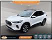2023 Ford Escape Platinum (Stk: A56886) in Lower Sackville - Image 1 of 22