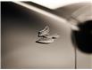 2024 Dodge Hornet PHEV R/T Plus (Stk: RA19200) in Surrey - Image 7 of 22