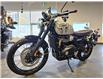 2025 Triumph SCRAMBLER 1200 X (Stk: 25TS-022) in Grande Prairie - Image 3 of 10