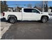 2025 GMC Sierra 1500 SLE (Stk: 25061) in Green Valley - Image 11 of 14