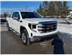 2025 GMC Sierra 1500 SLE (Stk: 25061) in Green Valley - Image 12 of 14