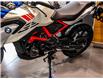 2024 BMW G310GS  (Stk: B1304) in Woodbridge - Image 9 of 16