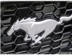 2024 Ford Mustang  (Stk: 8C430994) in Richmond - Image 8 of 24