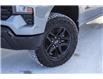 2025 Chevrolet Silverado 1500 Custom Trail Boss (Stk: 50445) in Edmonton - Image 3 of 11